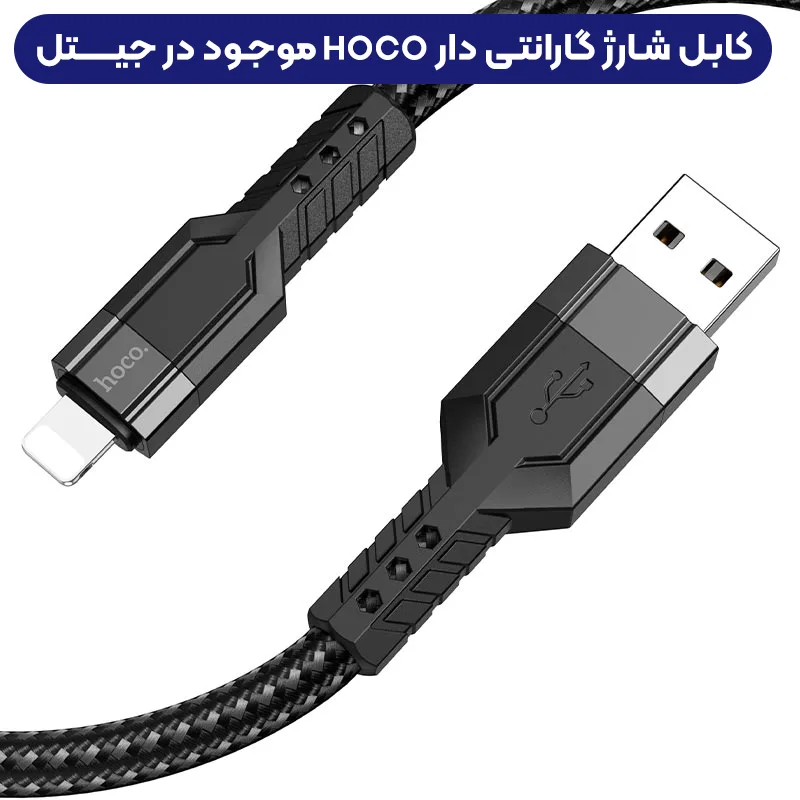 11446888.webp