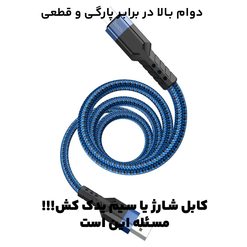 11446889.webp