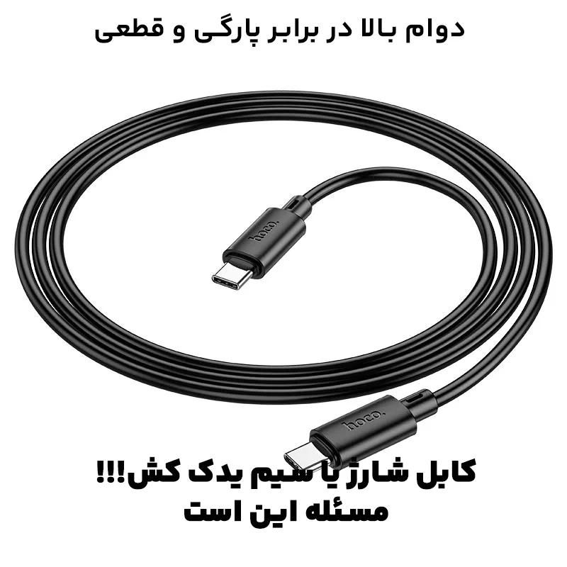 11447212.webp
