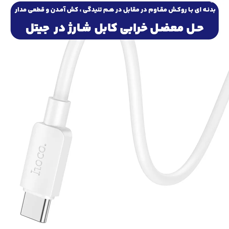 11452990.webp