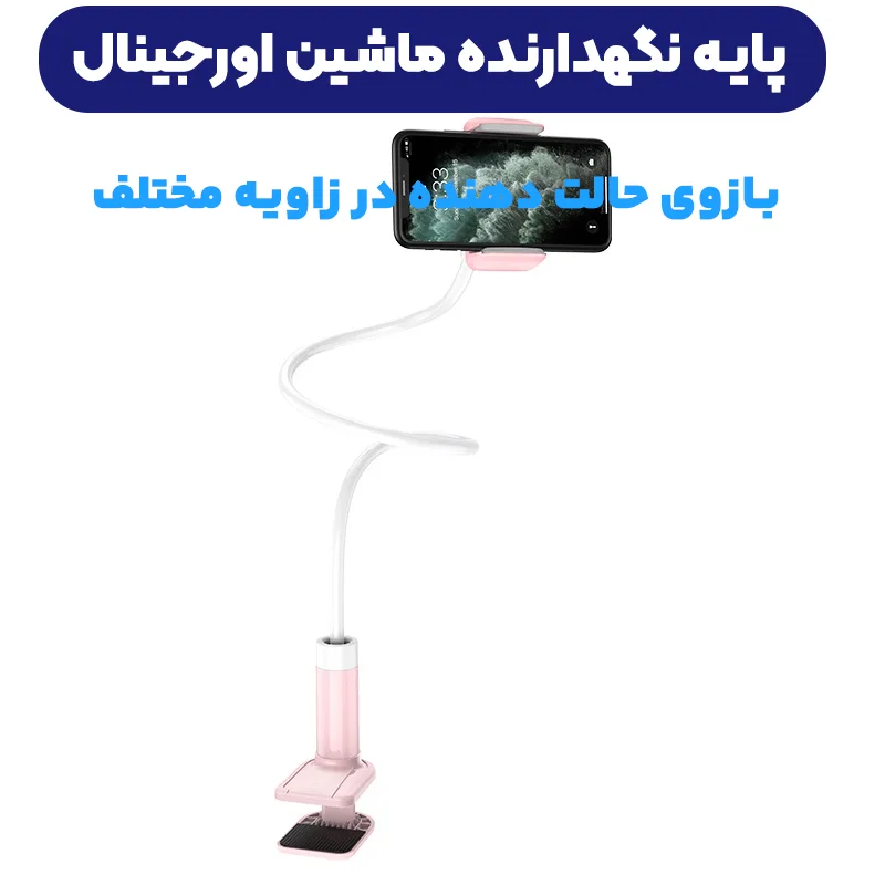 11462823.webp