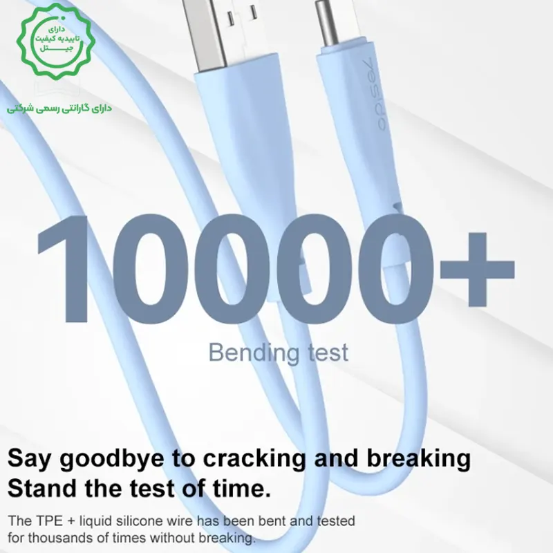 12785485.webp