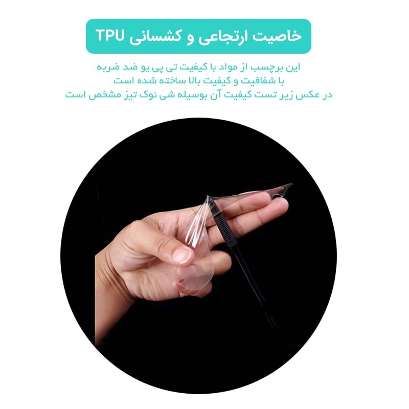 3322451.jpg