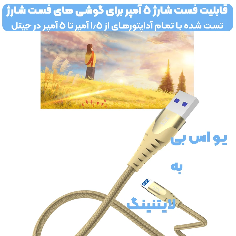 7381528.webp
