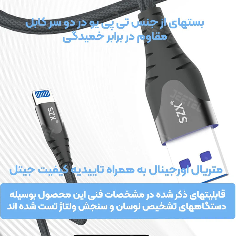 7381531.webp