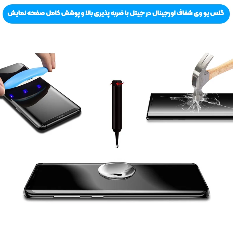 7768621.webp